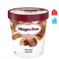Haagen-Dazs Chocolate Ice Cream 450 mL