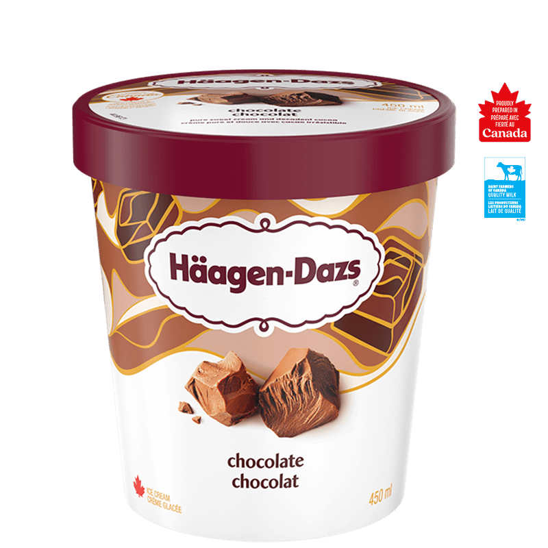Haagen-Dazs Chocolate Ice Cream 450 mL